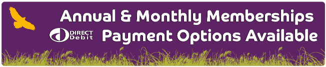 You save 10% when you book online